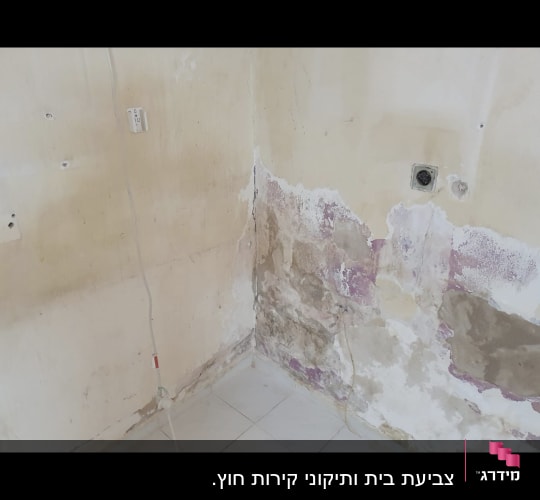 קיר עם קילופי צבע ותיקונים נדרשים